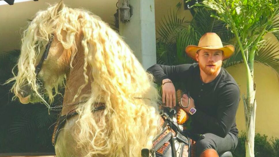 Canelo y sus caballos .jpeg