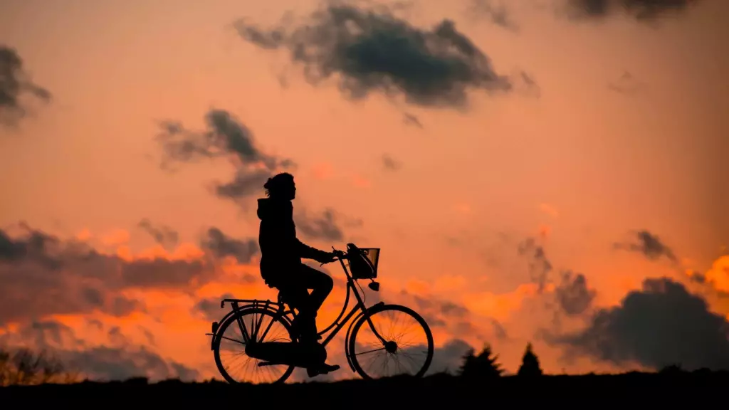 Día de la bicicleta