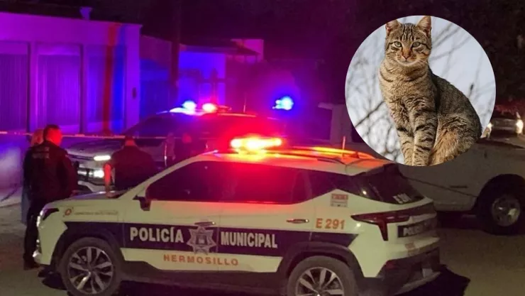 1280 x 720 px - 2026-02-18T191130.912.jpg