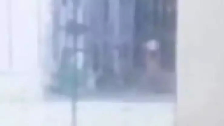 VIDEO_ Tras la aparición de una NIÑA FANTASMA en panteón de Puebla, deciden cerrar el lugar