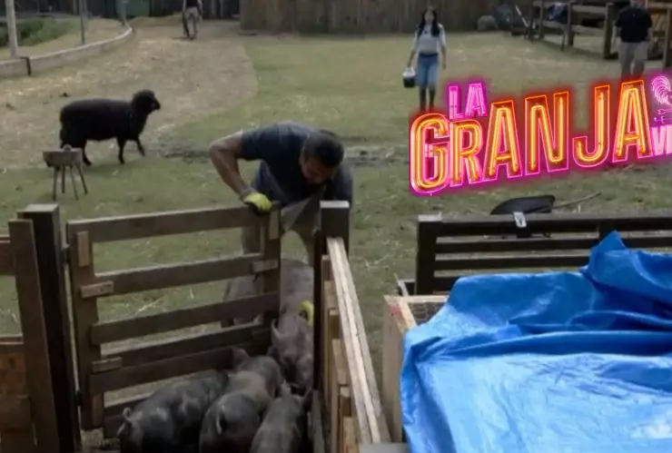 Críticos explican posibles motivos de la rebelión animal en La Granja VIP.
