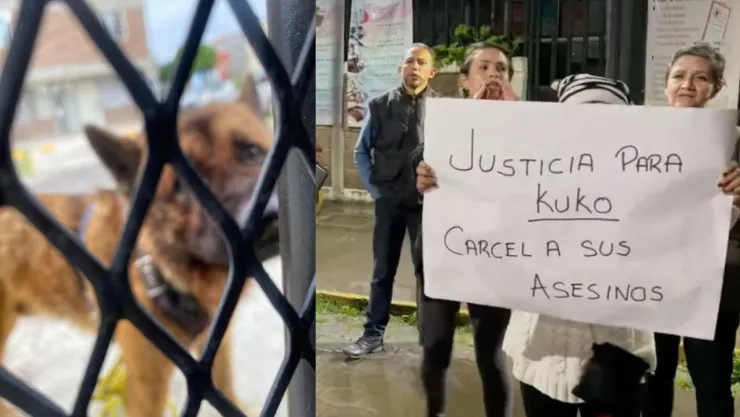 Vecinos de Edomex exigen justicia por la muerte del perro Kuko