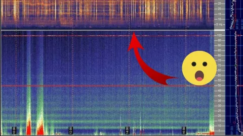 Diseño sin título - 2024-04-11T131249.372.jpg