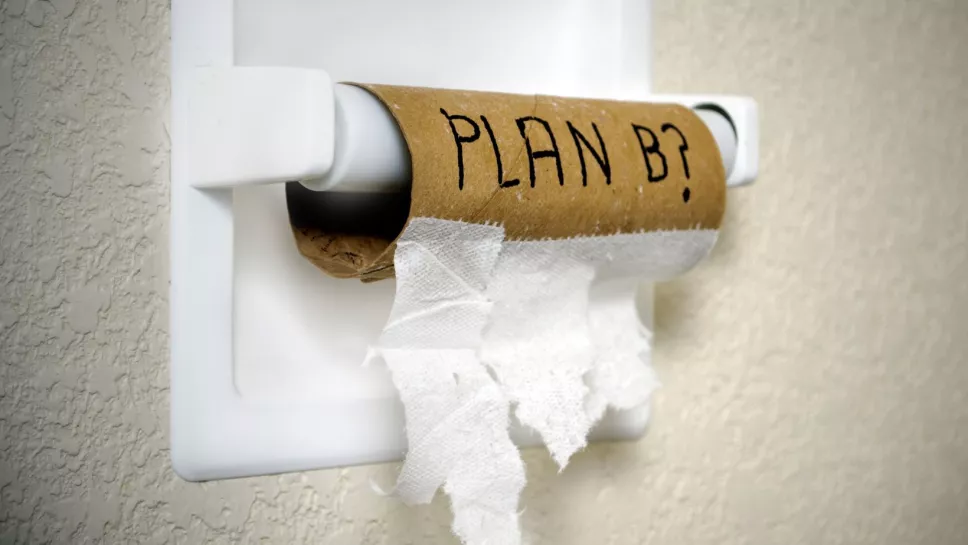 Bambox el papel higiénico del futuro