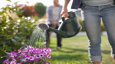 Las señales que no debe pasar por alto para saber cuánta agua necesita su planta