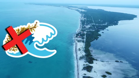 Playas libres de sargazo en Quintana Roo HOY 17 de agosto de 2025_ Lista desde Holbox, Cancún y hasta Tulum.jpg