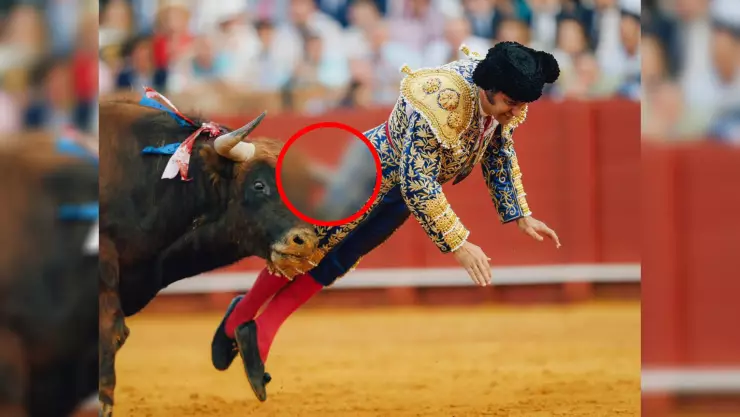 Torero