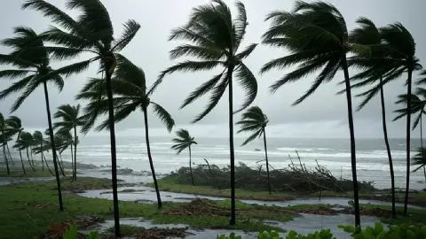 Tormenta tropical Erick sigue intensificándose ¿Qué tan intensas serán las lluvias en Veracruz?