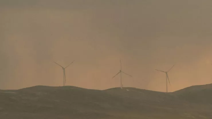 Tolvaneras.jpg