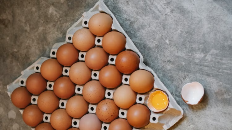 7 ideas con cartones de huevo para organizar la cocina