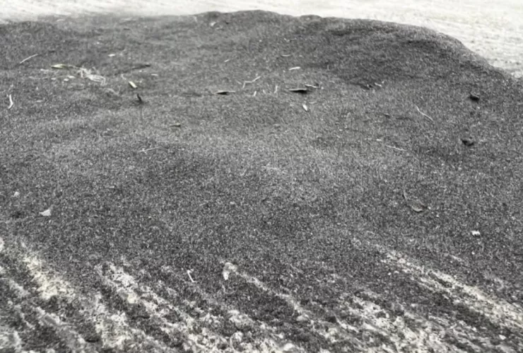 Alertan por posible caída de ceniza del volcán Popocatépetl este 25 de febrero.jpg