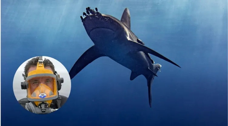 Foto de tiburón y del biólogo Mauricio Hoyos.