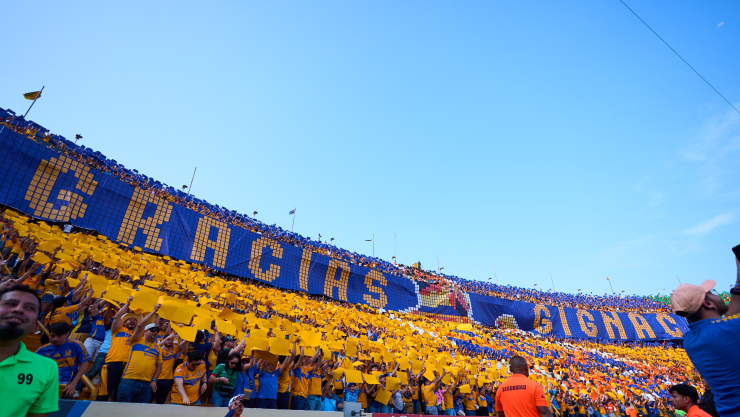 Gignac se va de Tigres Liga MX