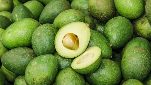 aguacates verdes