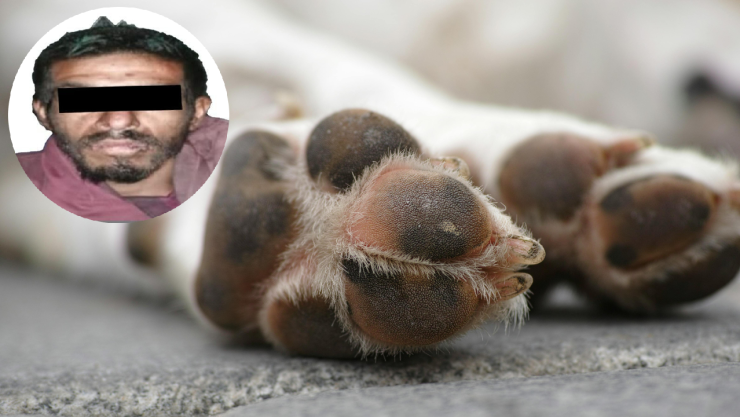 El hombre fue grabado cuando presuntamente maltrataba perros en Mexicaltzingo.