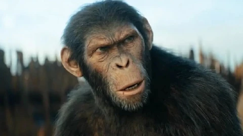 PLANETA SIMIOS CAROLINA SUR.jpg