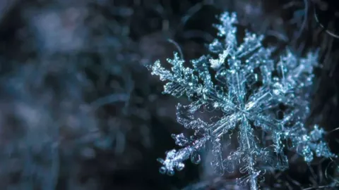 Temperaturas mínimas bajo cero afectarán a Puebla hoy martes: Mapa de zonas en riesgo