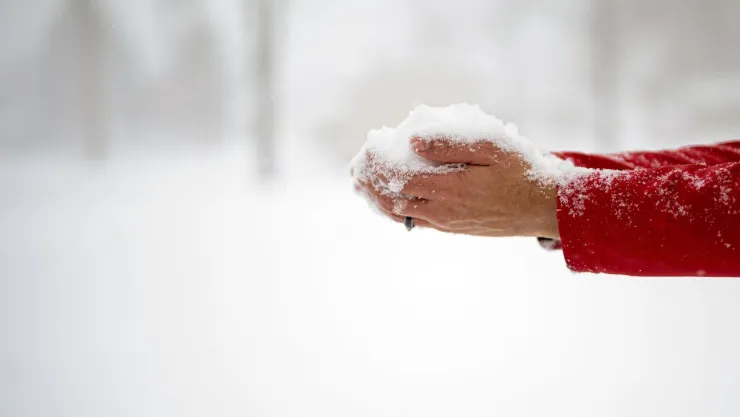 Cae primera nevada en Isla de Cedros