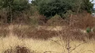 Hombre asesinado en Culiacancito