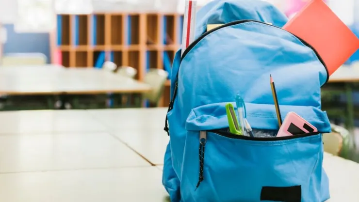 FIN DEL CICLO ESCOLAR