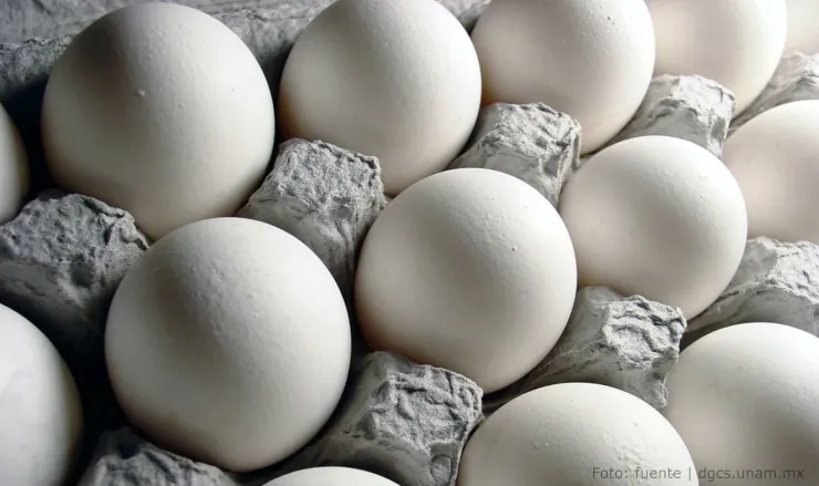 Cuántos huevos puedes comer a la semana para que sea saludable