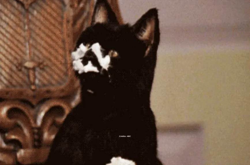 salem-saberhagen-sabrina-la-bruja-adolescente