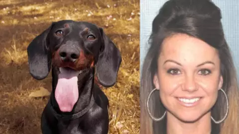 Mujer buscaba a su perro y encontró restos de joven desaparecida.jpg