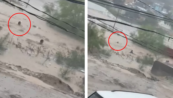 Rescatan niña presa Ciudad Juárez.jpg