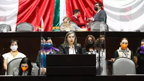 cámara de diputados.jpeg