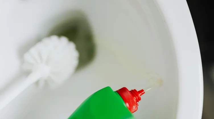 Limpia y elimina las manchas de la taza del baño con una mezcla de sal y jabón
