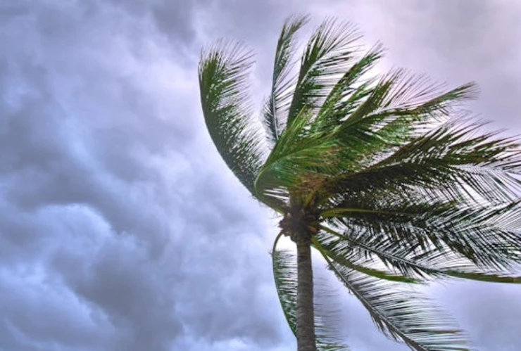 Huracanes 2025_ ¿Por qué el Mar de Guerrero alcanza temperaturas tan altas como en _Otis