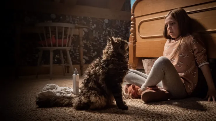 Pet Sematary