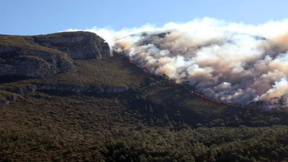 INCENDIO EN LA SIERRA DE ARTEAGA_ Comunicación Coahuila.jpg