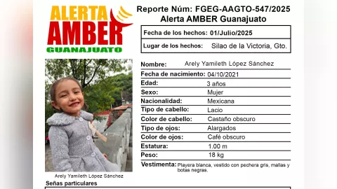 desaparición niña Silao