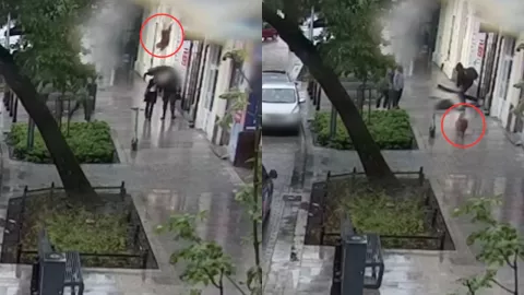 VIDEO | ¡Si no lo veo no lo creo! Perro cae del cielo y deja inconsciente a una mujer