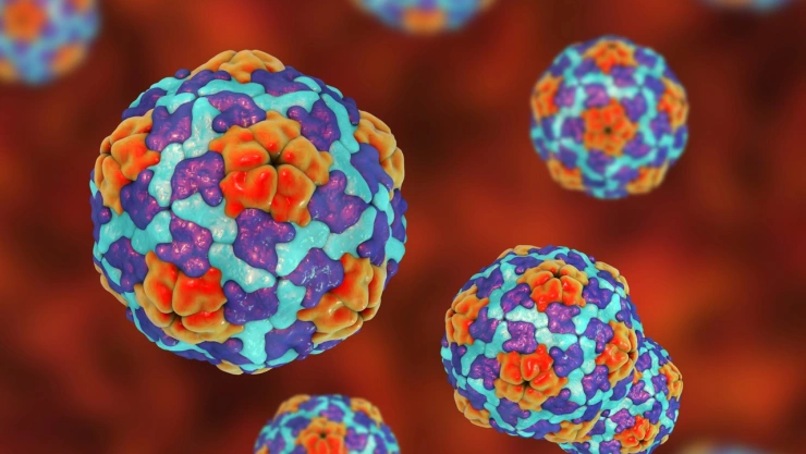 El virus que se transmite por alimentos y agua que te puede contagiar en caso de viajar a Cuba