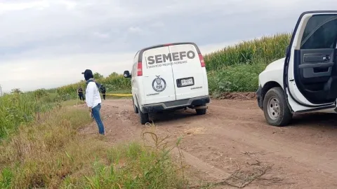 Hallan restos humanos en Villa Juárez, Navolato