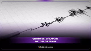 VIDEO | Así se vivió el sismo en Chiapas.jpg