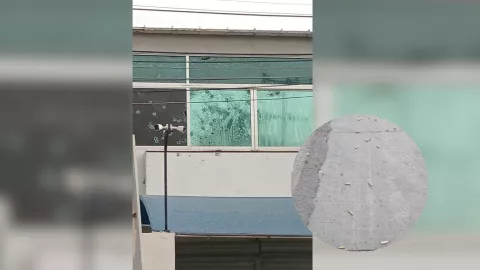 Local baleado en Cañadas, Culiacán