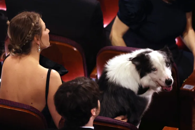 messi-perro-oscar-2024
