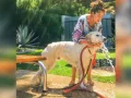 Famosos con un Hachiko en su vida (3).jpg