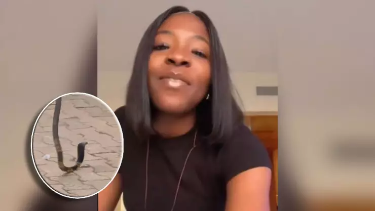 Muere joven cantante tras ser mordida por una víbora mientras dormía