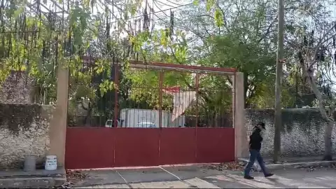 cateo antiddrogas colonia obrera