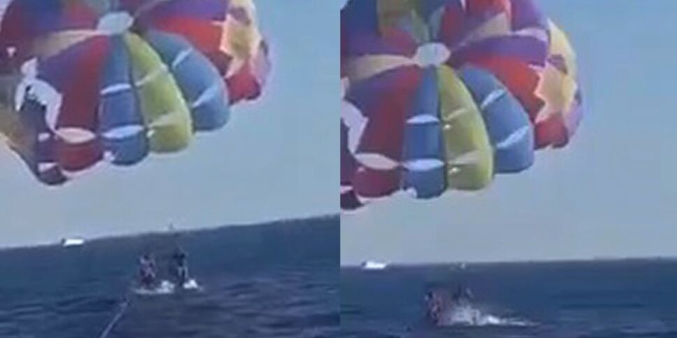 tiburón muerde paracaidista