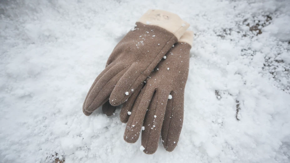 Tormenta invernal y Frente Frío 16 provocarán nieve y temperaturas de hasta –10°C.jpg