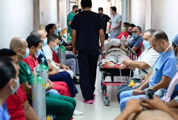 Súper Gripe H3N2.jpg