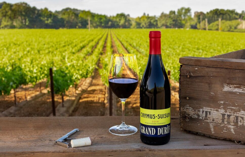 vino caymus siusum california