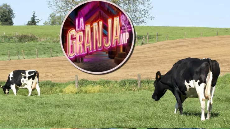 PREMIO FINAL DE LA GRANJA VIP.jpg