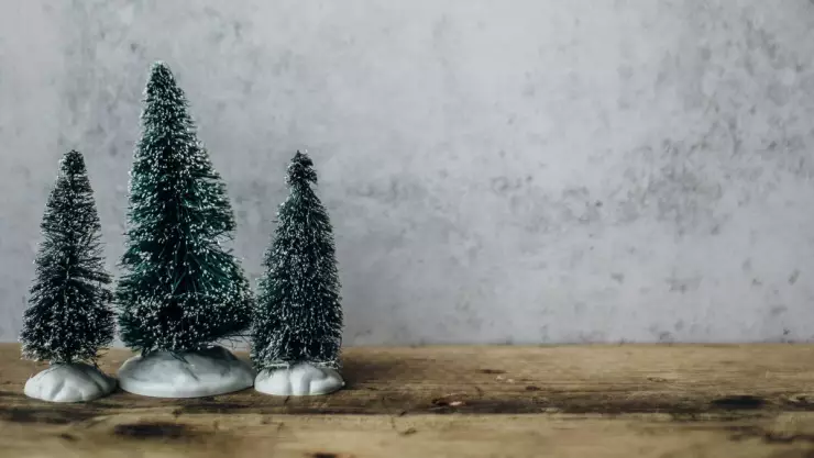 ¿Habrá Ley Seca en Mérida durante la Navidad 2024_ Esto sabemos