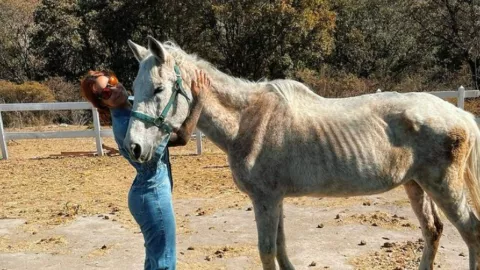 Activista, último mensaje